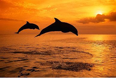 《街头霸王6》开发者：游戏的对战部分才是End Contents